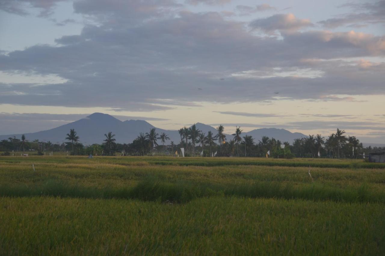 Bali Harmony Retreat Aparthotel Canggu Esterno foto