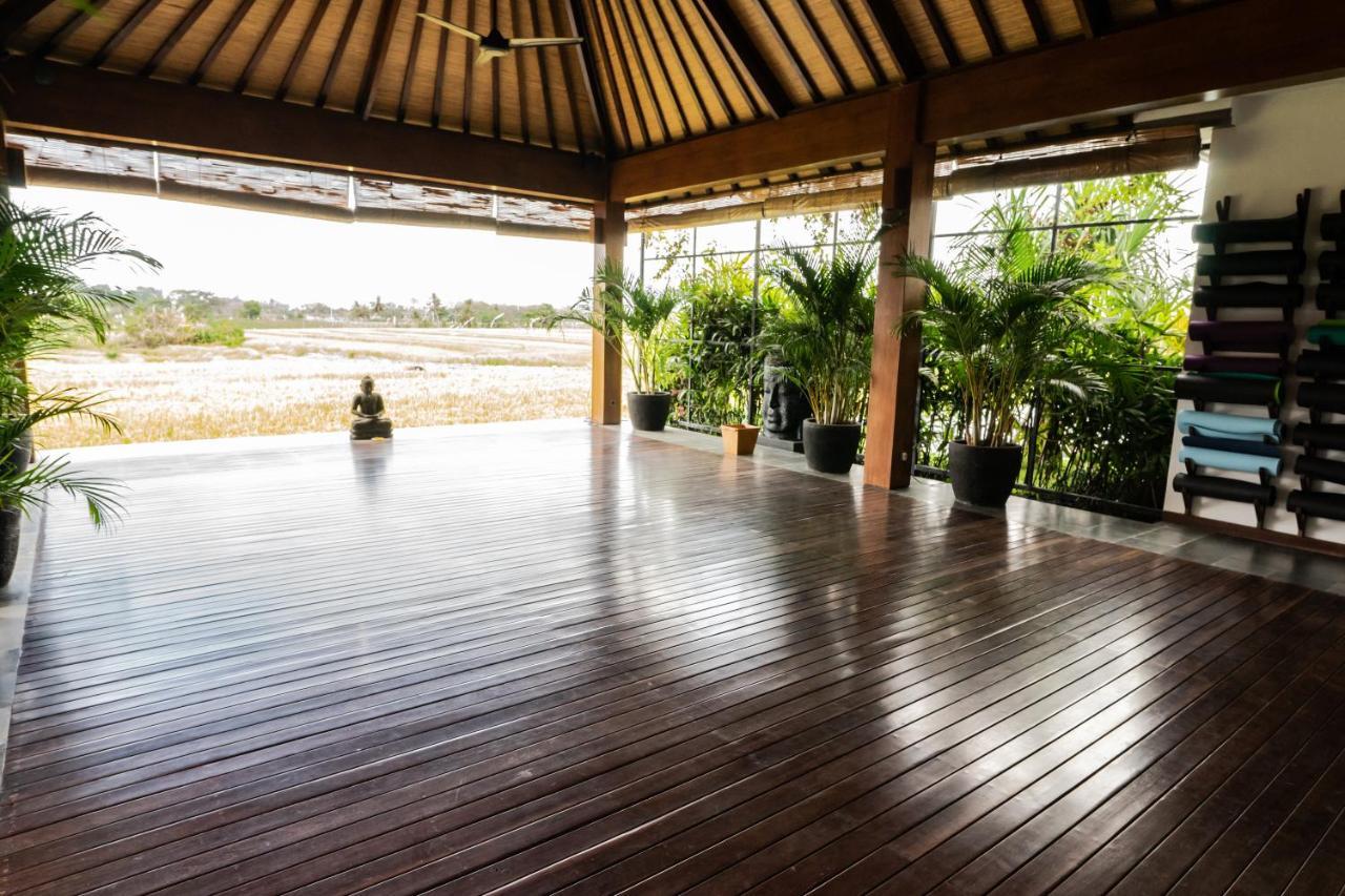 Bali Harmony Retreat Aparthotel Canggu Esterno foto